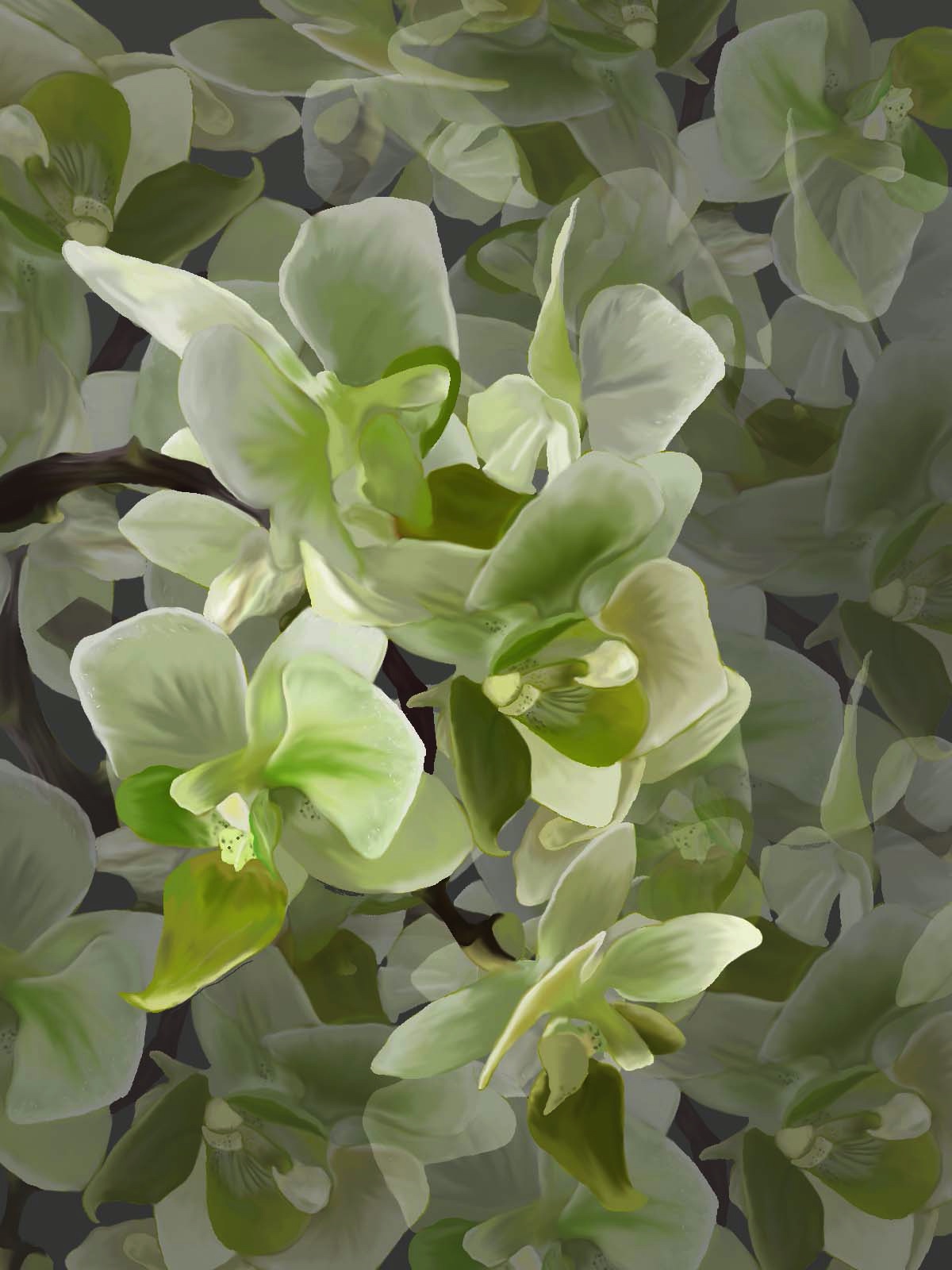 Orchids — Selective Focus Study