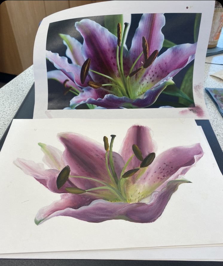 Lily — Reference & Painted Observation