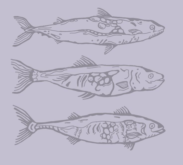 Fish Studies