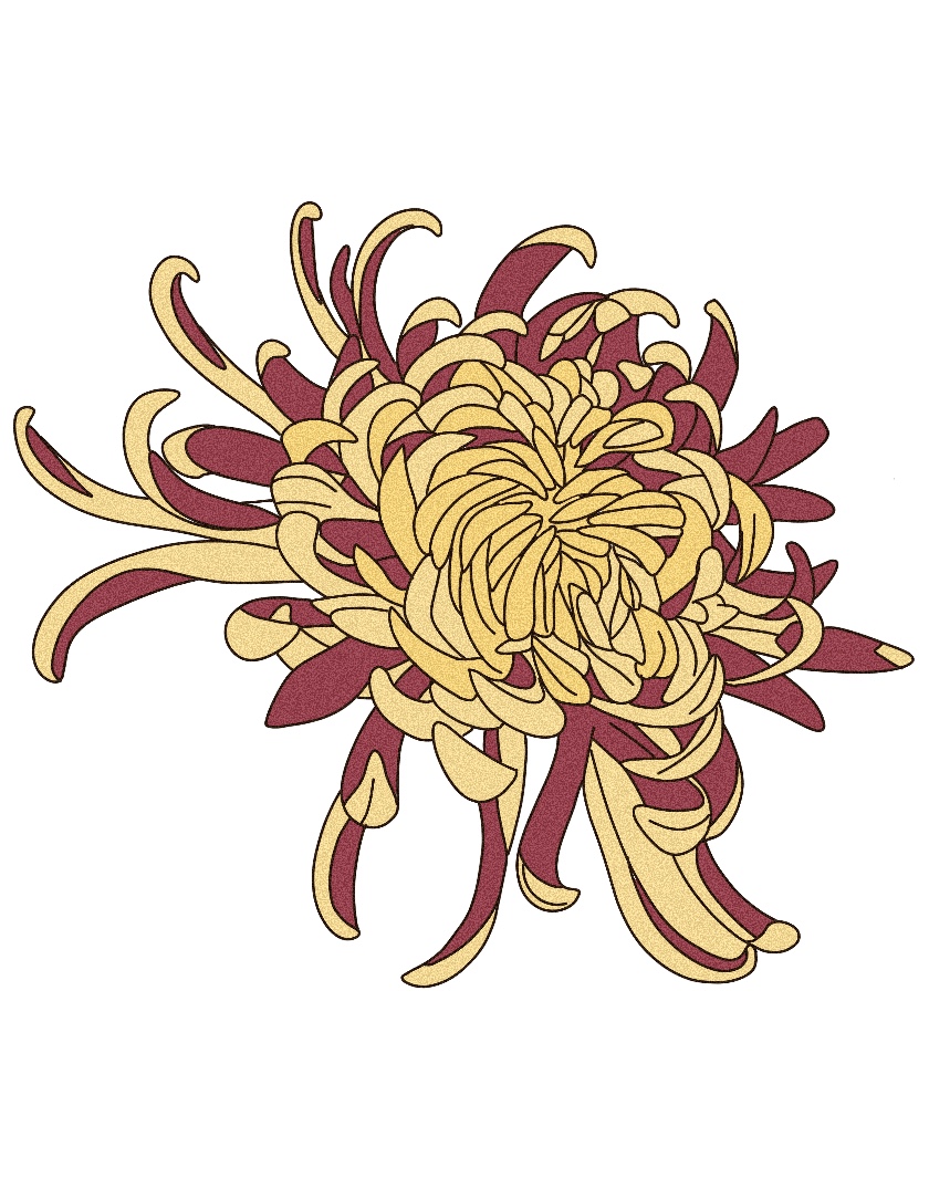 Chrysanthemum III